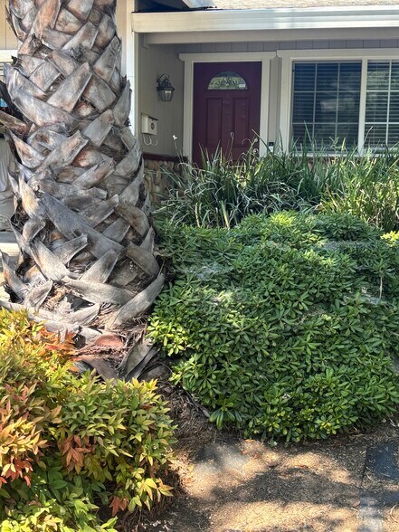 Building Photo - 6113 Oakgreen Cir