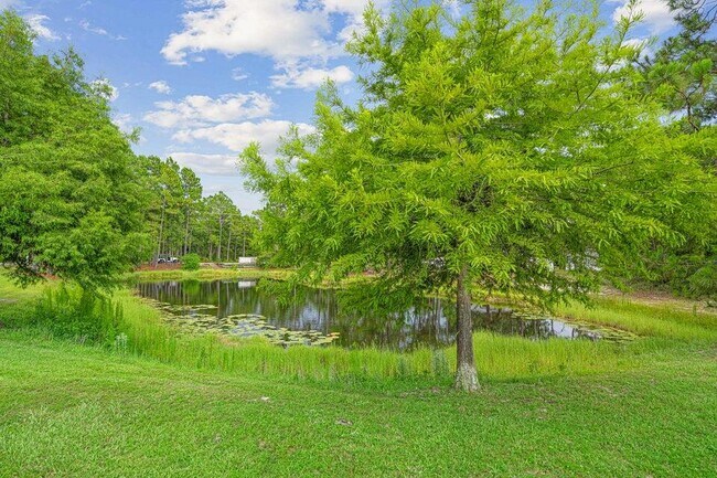 Building Photo - 42 Vía Largo