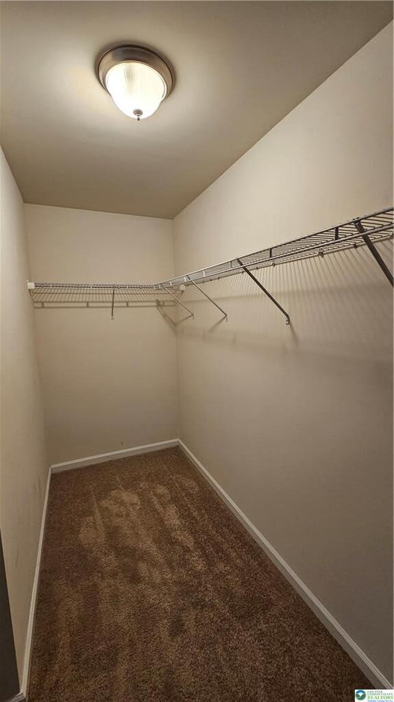 Building Photo - 1462 Black Forest Dr