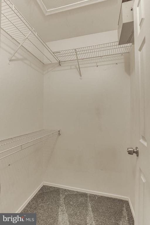 Building Photo - 3305 Wyndham Cir