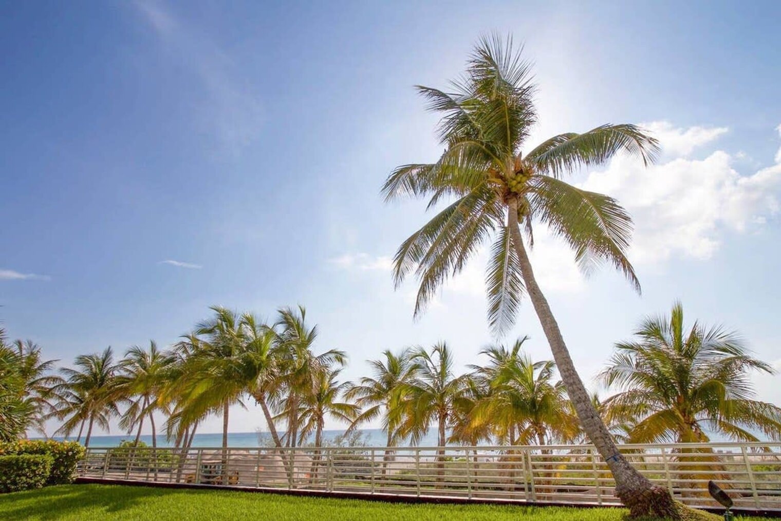 Building Photo - 5151 Collins Ave