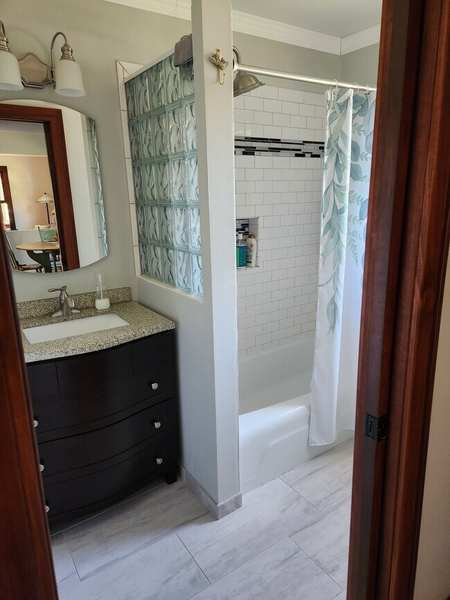 Main bathroom - 224 S Pine St