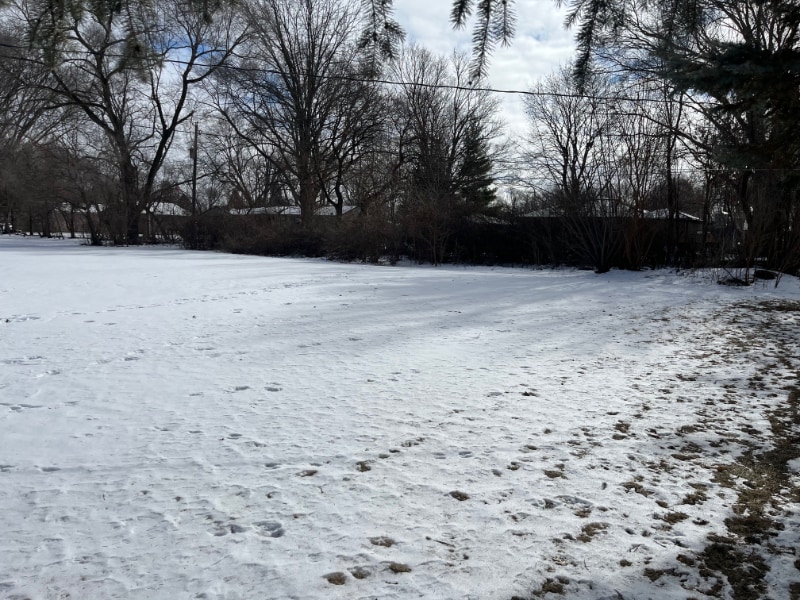 Building Photo - 1415 Hackberry Ln