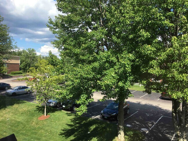 Building Photo - 3981 Brown Ave