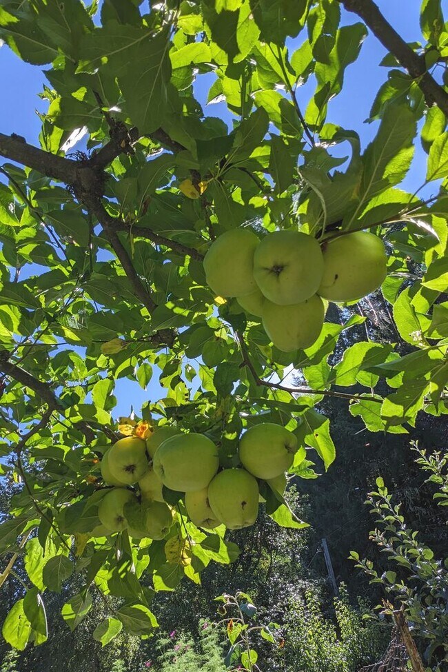 Building Photo - Spacious Custom Home, Most Utilities Included!