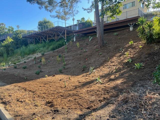 Water-friendly, native flora in back yard - 2812 Anchor Ave