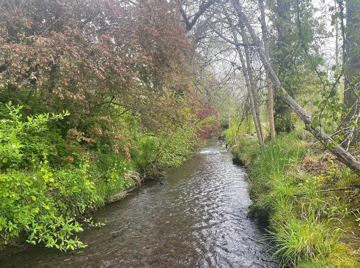 Pringle Creek - 2057 Audubon Ave SE