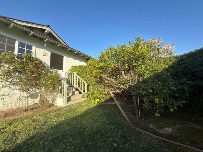 Building Photo - 2603 Phelan Ln