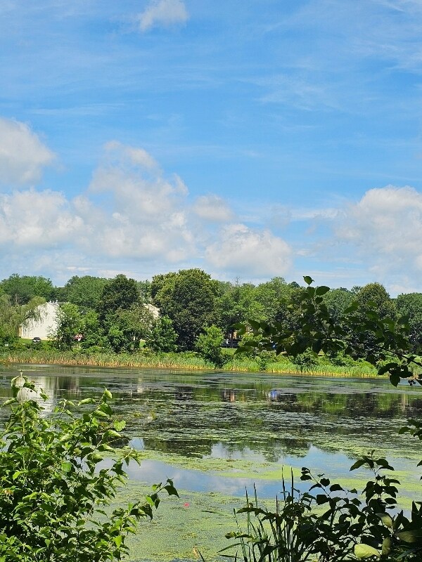 Building Photo - 12217 Eagles Nest Ct