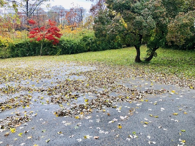 Building Photo - 999 Churchtown Rd