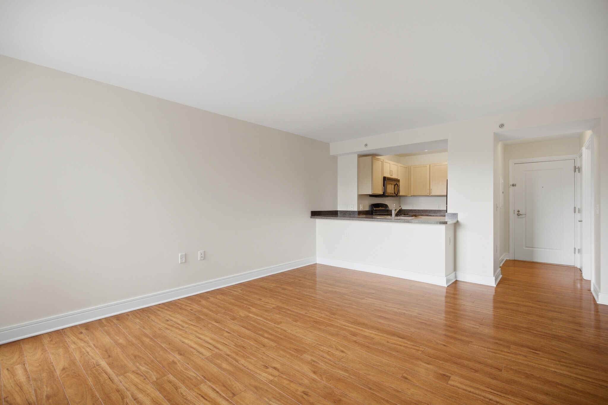 LR to eat in kitchen counter - 800 4th St SW