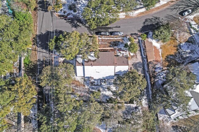 Building Photo - 3207 Eanes Cir