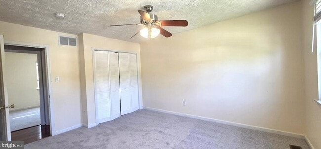 Building Photo - 1217 Scattered Pines Ct