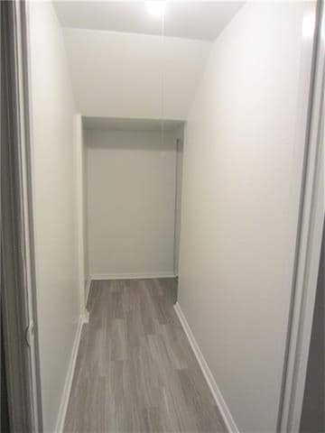 Building Photo - 2308 Birchbrook Ct