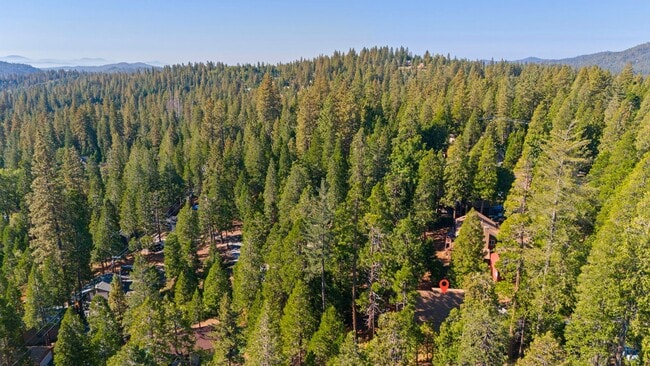 Building Photo - Fully Furnished 3 Bedroom Retreat in the Pines – Flexible 3–12 Month Lease