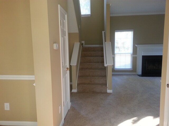 Building Photo - 3 Chablis Ct