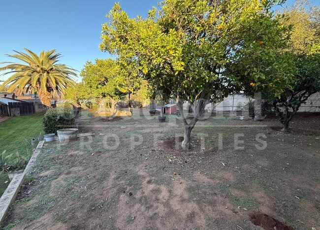 Building Photo - 440 Chestnut Ln