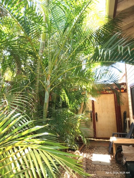 Building Photo - 281 Kaikea St