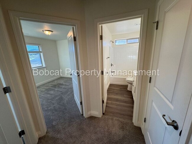 Building Photo - 1237 Correlli Ct