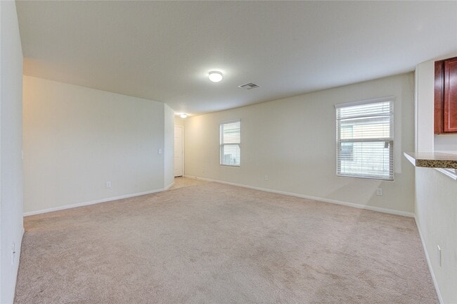 Building Photo - 1315 Pease River Ln