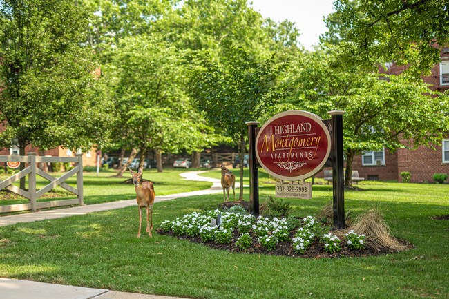 highland montgomery apartments highland park nj apartment finder