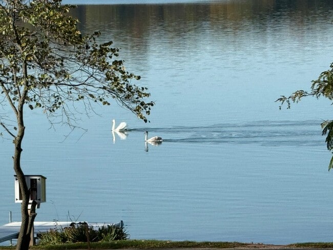 Building Photo - 80 Ln 250A Lake Gage