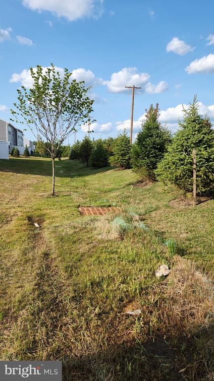 Building Photo - 12 Nelsons Wy