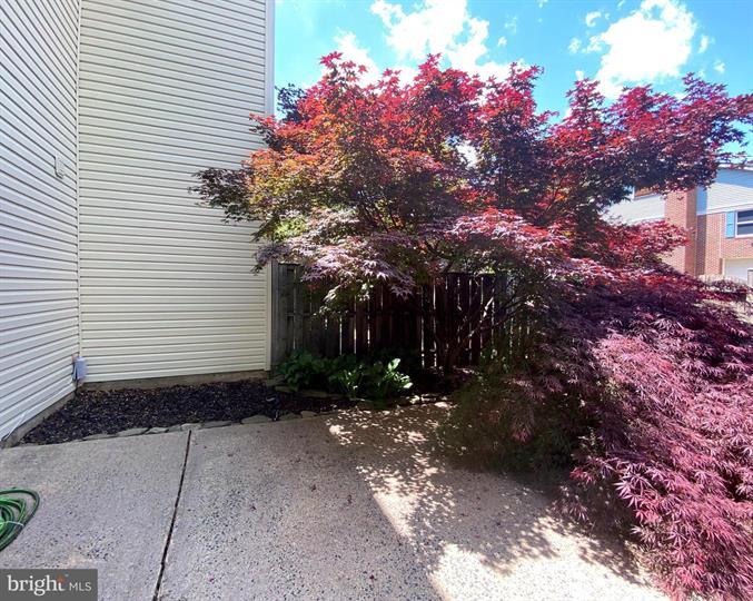 Building Photo - 4905 Van Walbeek Plz