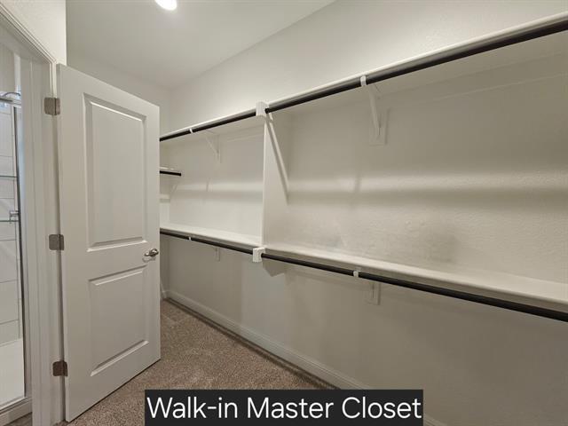 Building Photo - 2517 Bellatrix Dr