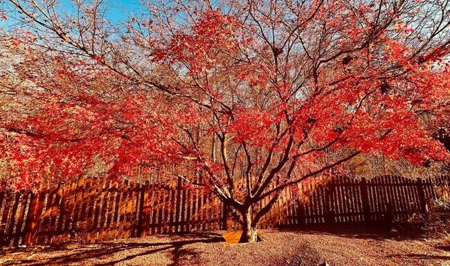 Building Photo - 12872 Waterside Dr