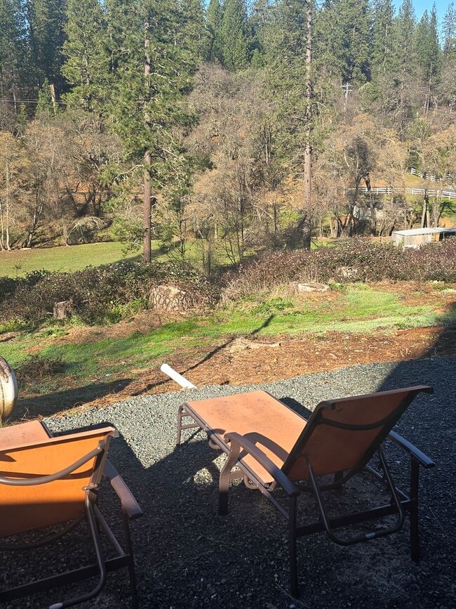 Building Photo - Calm Surrounds This Beautiful Cabin Home