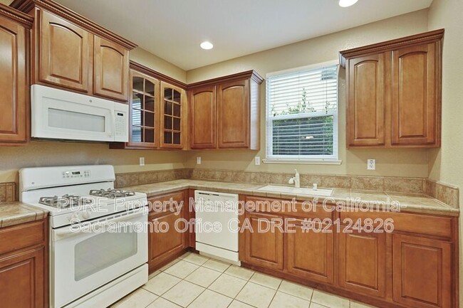 Building Photo - 441 Picasso Cir