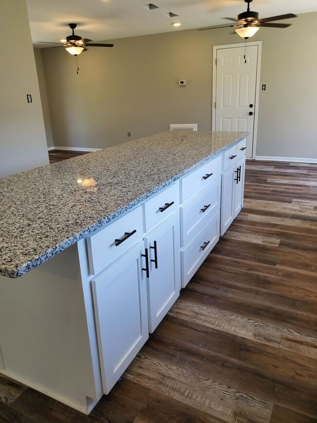 Building Photo - Newly remodeled, 3 bedroom, 2 bath home with large fenced in backyard in the heart of Rincon