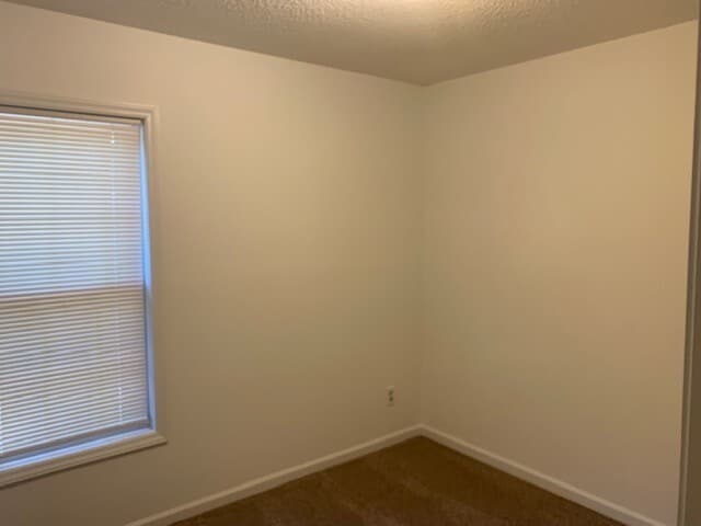 Building Photo - Beautiful 3 Bedroom Belmont Home!
