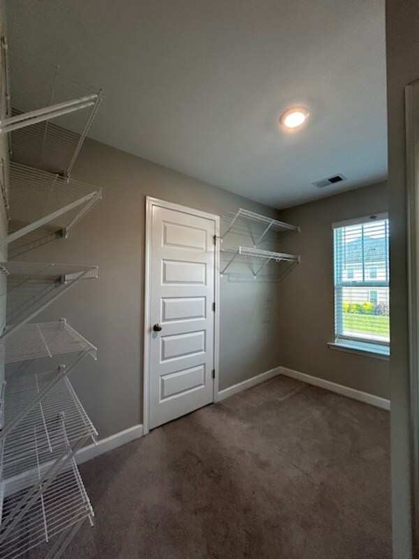 Building Photo - 309 Madison Park Dr