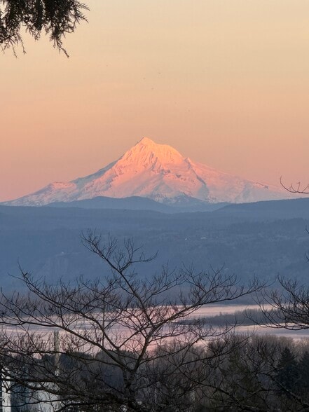 Hood views - 1505 NW 10th Ave