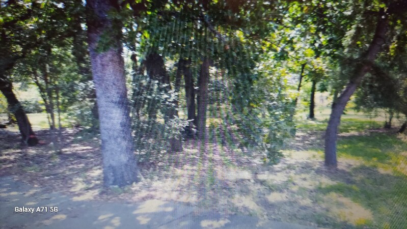 Building Photo - 2508 Brandon Ln