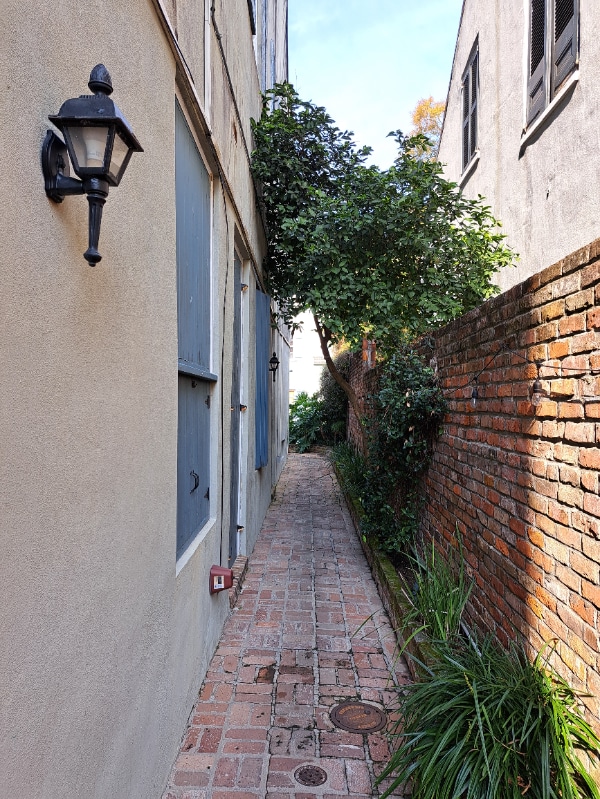 Building Photo - 617 Dauphine St