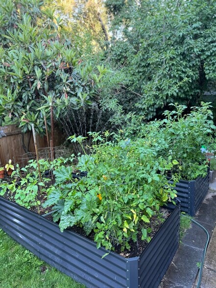 Raised Garden - 9426 N Edison St