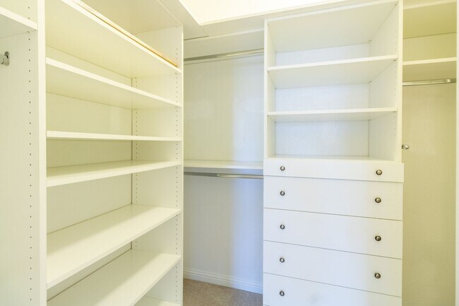 Building Photo - Gorgeous 3 bed / 2.5 bath just North of The Domain!