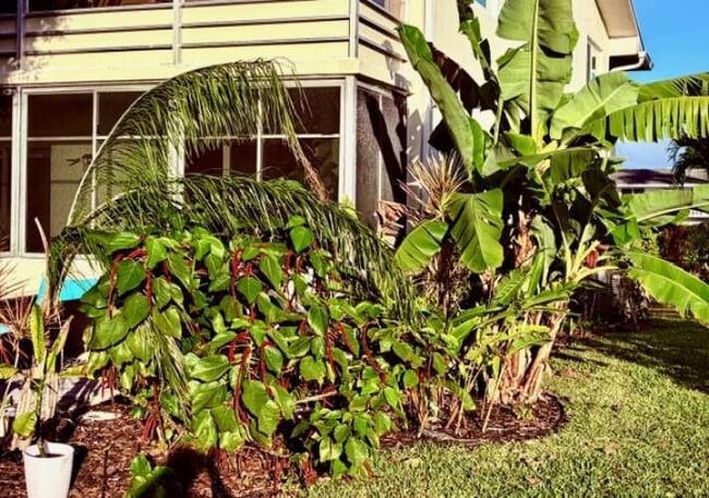 Building Photo - 433 Durham O