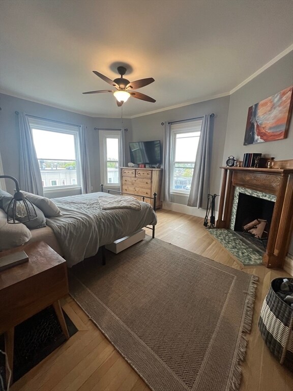 Building Photo - 43 Robinson St