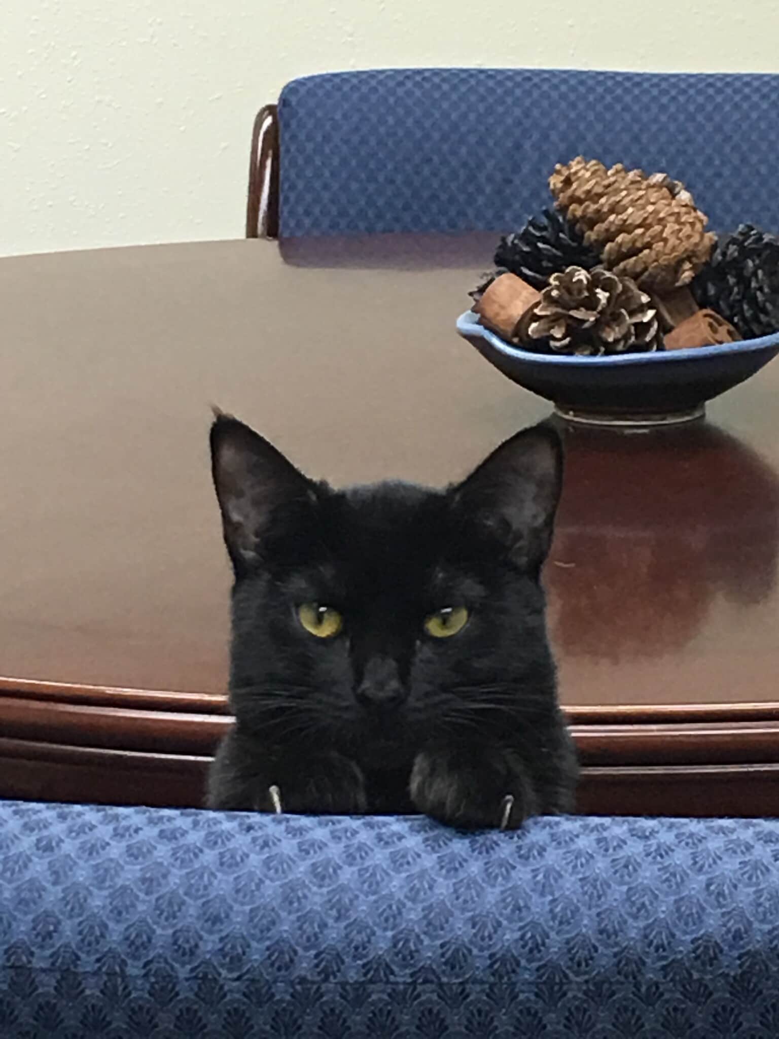 Building Photo - 862 Allen Ave