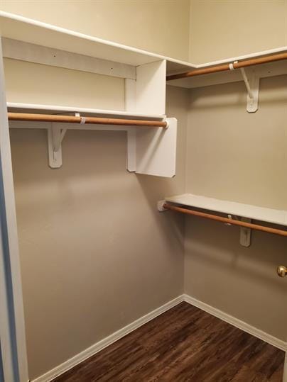 Building Photo - Coming Soon!!!!  Rancho Sahuarita, on Cul-de-sac