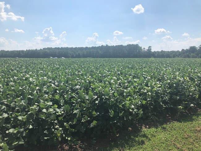 Building Photo - 2 BR, 2 BA Singlewide in Great Location in Pikeville!