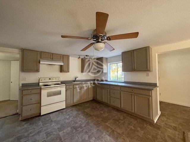Building Photo - 2058 Pinehaven Ln