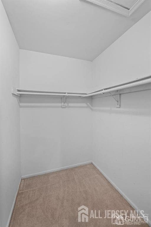 Building Photo - 1801 Timber Oaks Rd