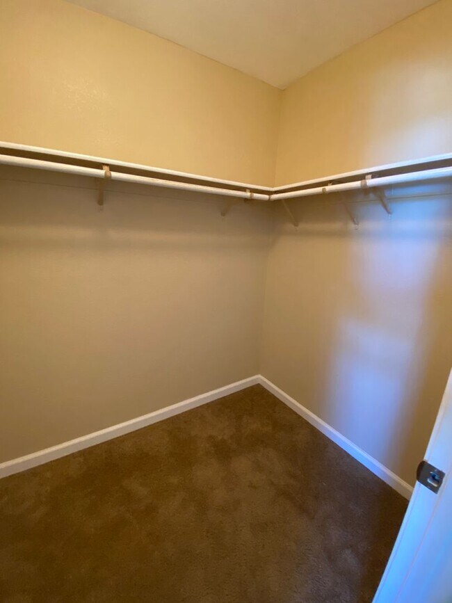 Building Photo - Lots of Natural Sunlight - Close to Travis Air Base - with No Rear Neighbors!