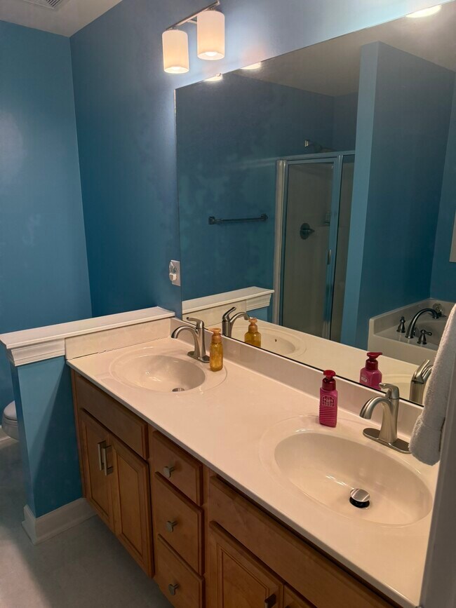 Building Photo - 2576 Blue Dog Ct