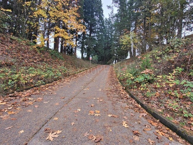 Building Photo - Classic Farmhouse on Murray w/Acreage, Mul...